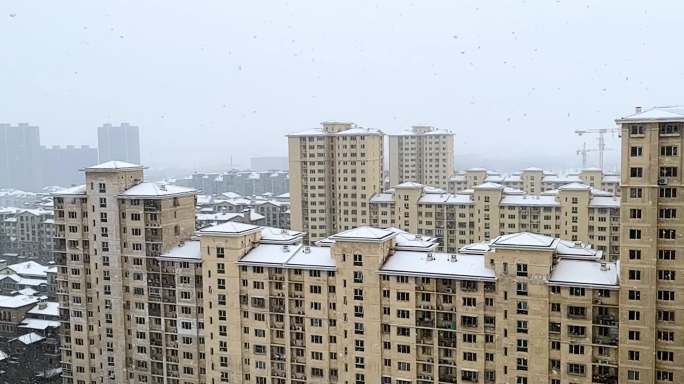 升格镜头下的雪景