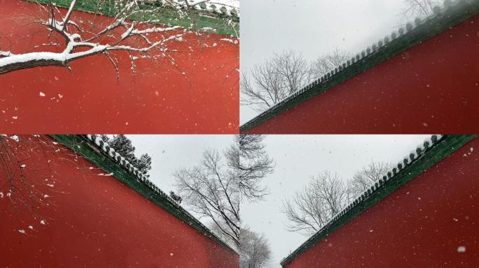 雪花飘 红墙美