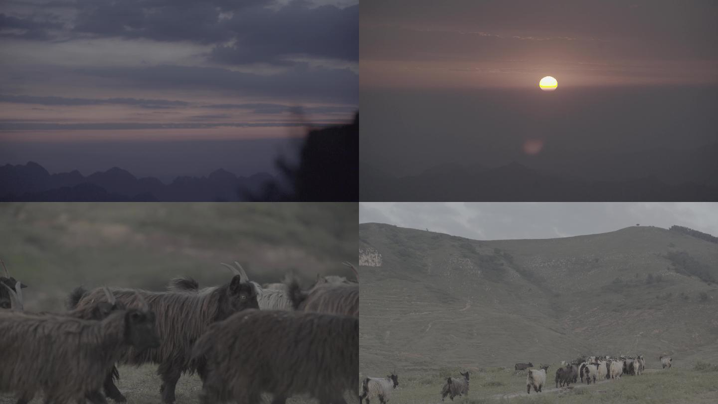 夕阳群山群羊