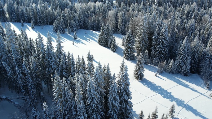 阿勒泰喀纳斯雪景