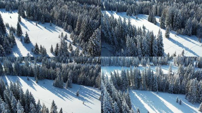 阿勒泰喀纳斯雪景