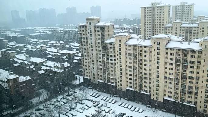 升格镜头下的小区雪景