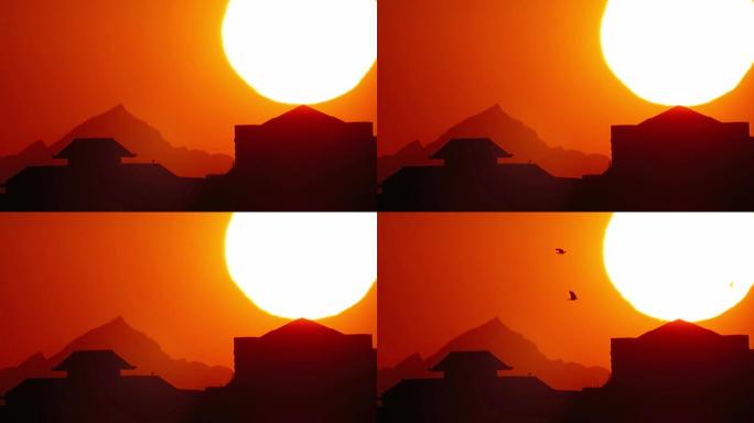 日出日落时分鸟类活动最频繁：觅食和归巢