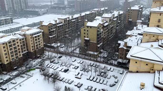 升格镜头下的飘雪