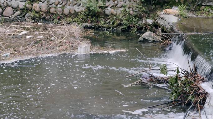 河水中的垃圾 河道环境问题  环境治理