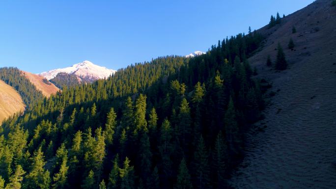 大美新疆 雪山风景 北国风光 唯美意境