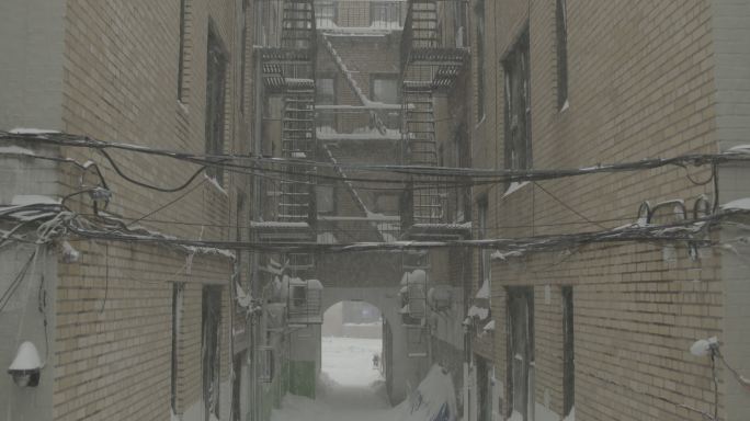 暴风雪纽约冬季后院巷郊区阿斯托里亚