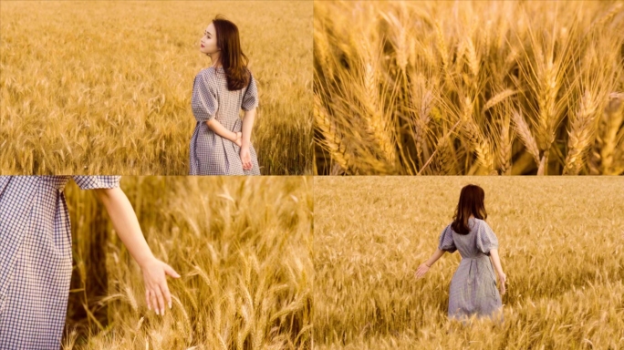 年轻女子走在金黄的麦田里