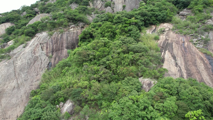 【正版素材】深圳园山风景区