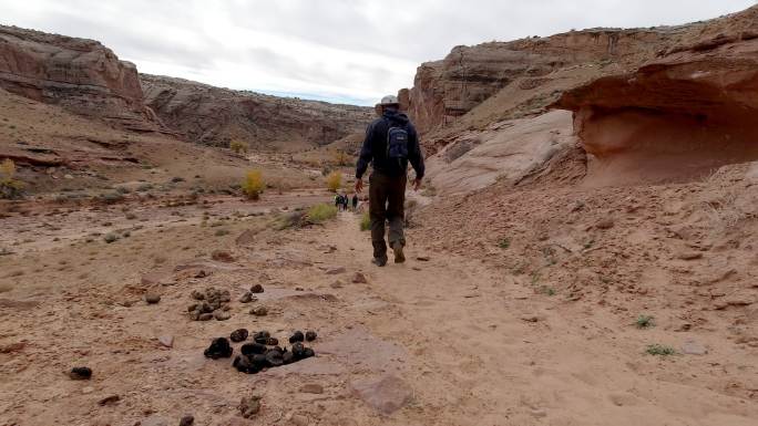 犹他州马蹄峡谷徒步旅行小道旁一名男子走过一堆马粪的手持式照片