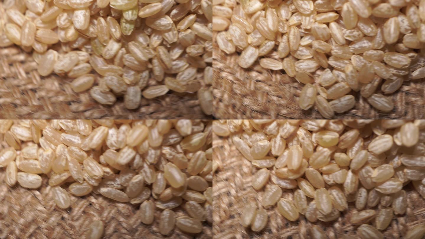 健康粗粮糙米 (5)