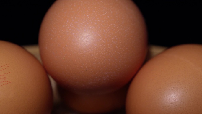 鸡蛋红皮鸡蛋鸡子蛋白质 (2)