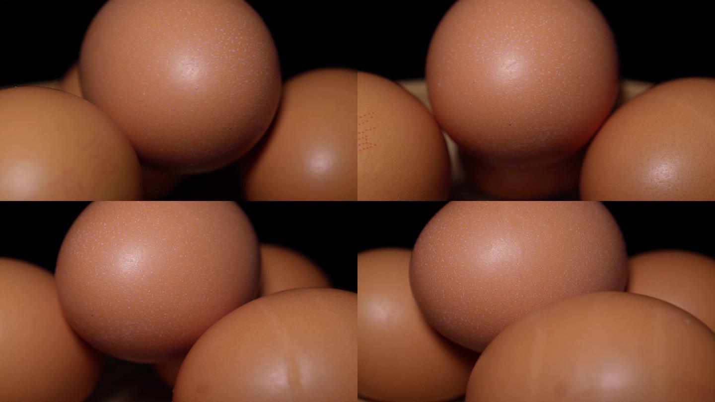 鸡蛋红皮鸡蛋鸡子蛋白质 (2)