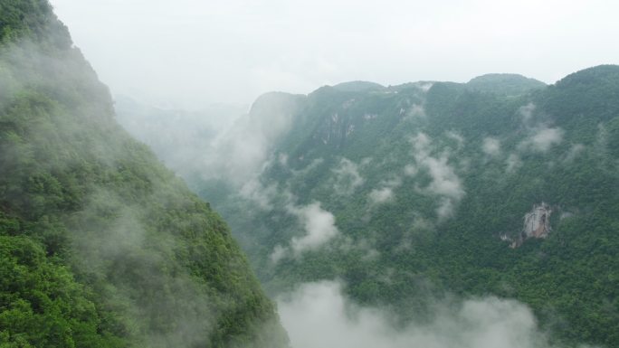 云雾缭绕的神农架山