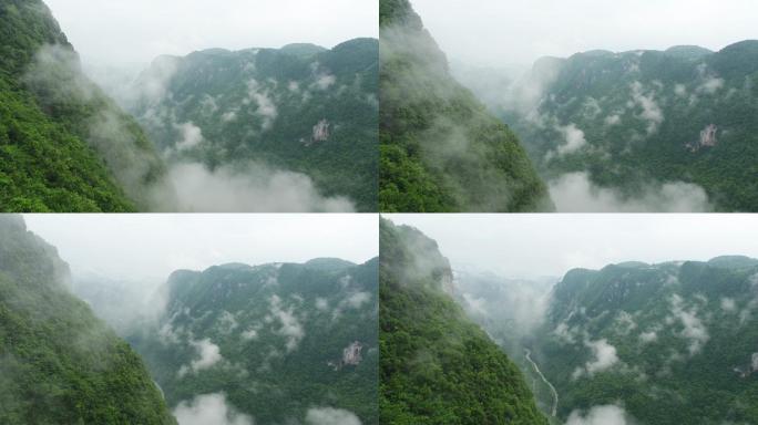 云雾缭绕的神农架山