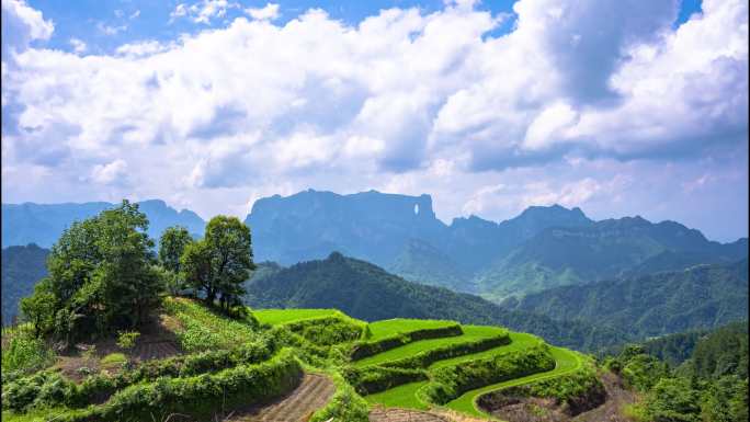 张家界天门山洞后山梯田延时