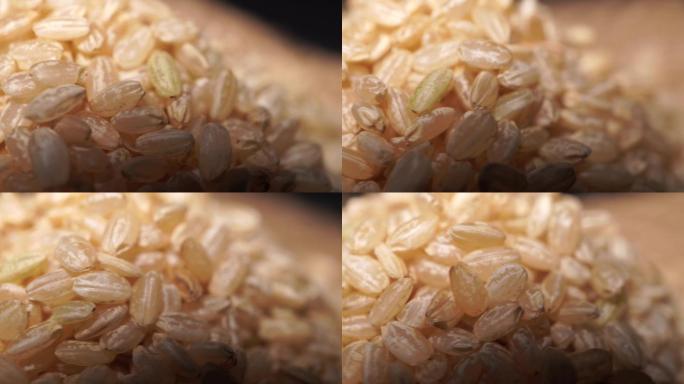 粗粮糙米健康纤维 (5)