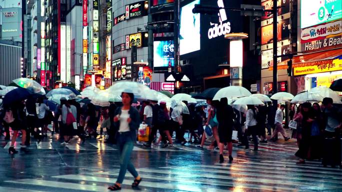 黄昏时分，雨中人群撑着雨伞在涉谷过马路