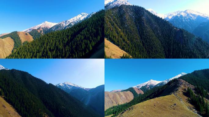 大美新疆 雪山风景 北国风光 唯美意境