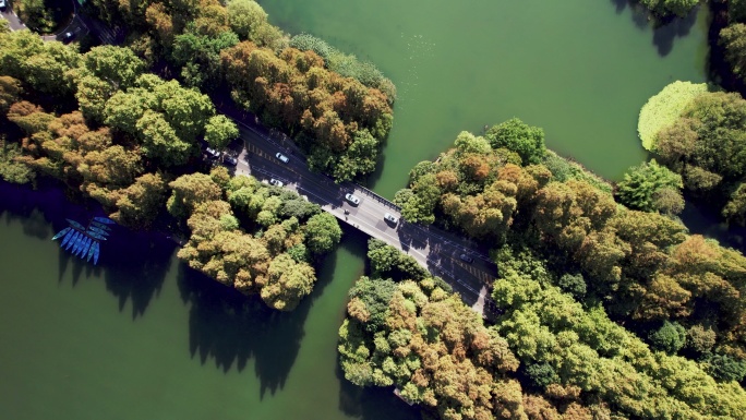 通过湖泊和树木区域的道路T/L鸟瞰图