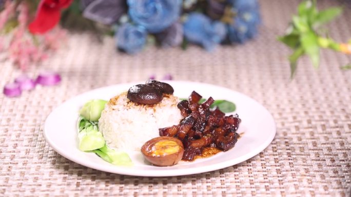 【镜头合集】肉汤拌饭卤肉饭红烧肉盖饭