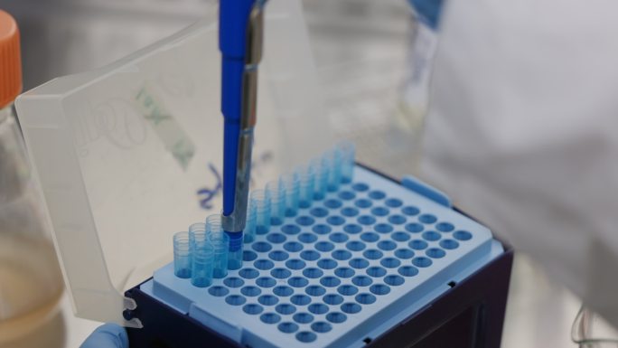 科学家在实验室用吸管取样