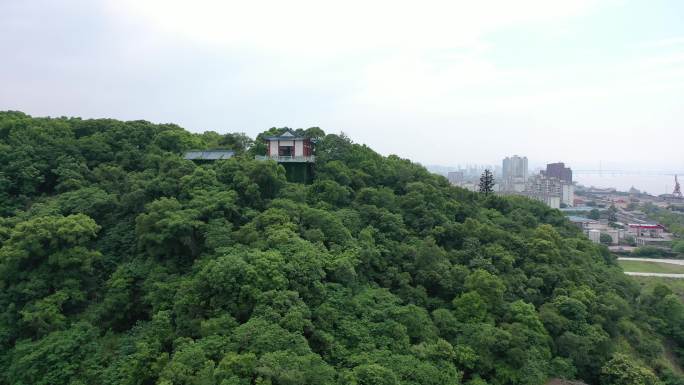 台州市穿过东山公园看见城市