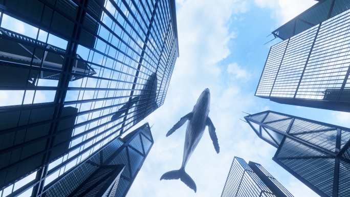 鲸鱼 鲲 飞过大楼