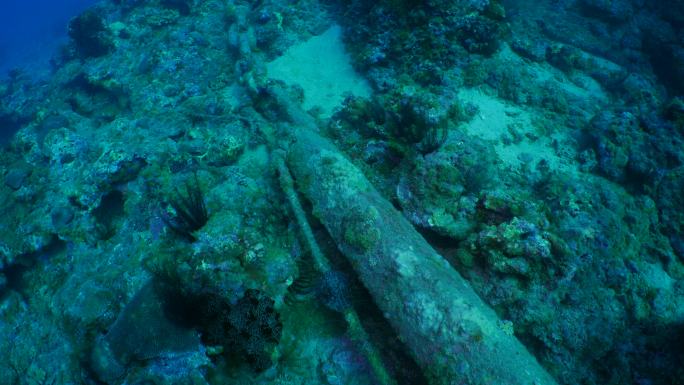 弃船锚损坏海底珊瑚礁