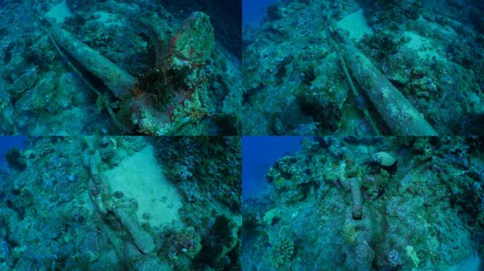 弃船锚损坏海底珊瑚礁