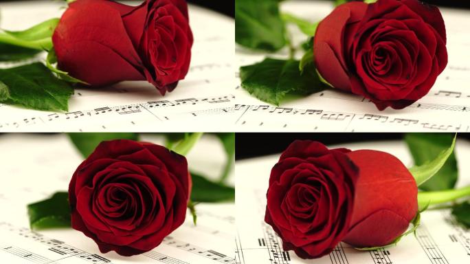 乐谱上的玫瑰意境空镜头月季鲜花礼品纪念