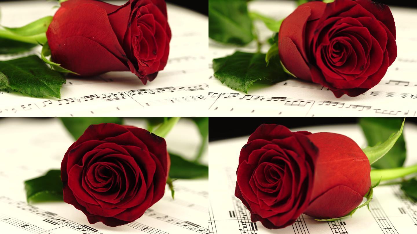 乐谱上的玫瑰意境空镜头月季鲜花礼品纪念