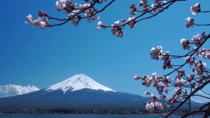 4K视频：日本富士吉田川口子富士山。