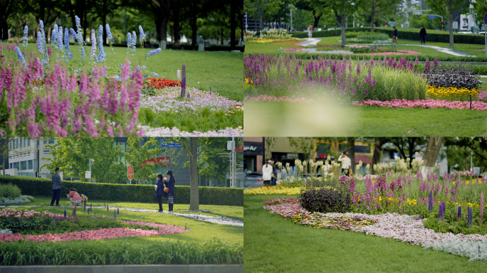 【4K】城市街心花园阳光大草坪