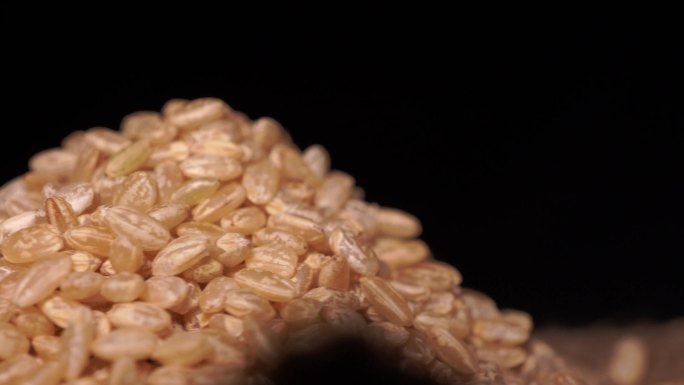 粗粮糙米健康纤维 (2)