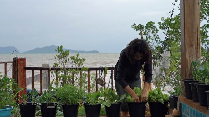 中年妇女在盆栽蔬菜园除草