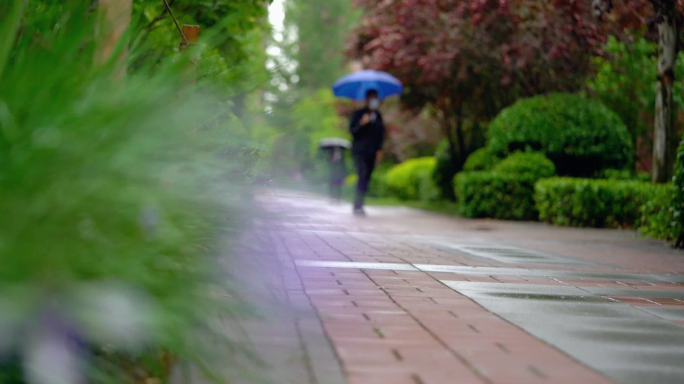 夏天小区下大雨4K唯美空镜