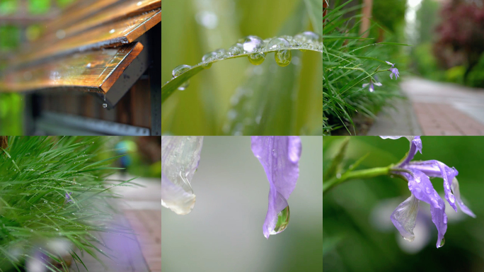 夏天小区下大雨4K唯美空镜