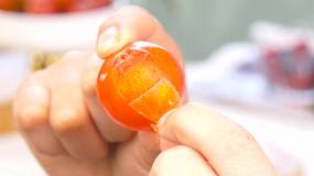 春桃番茄视频素材