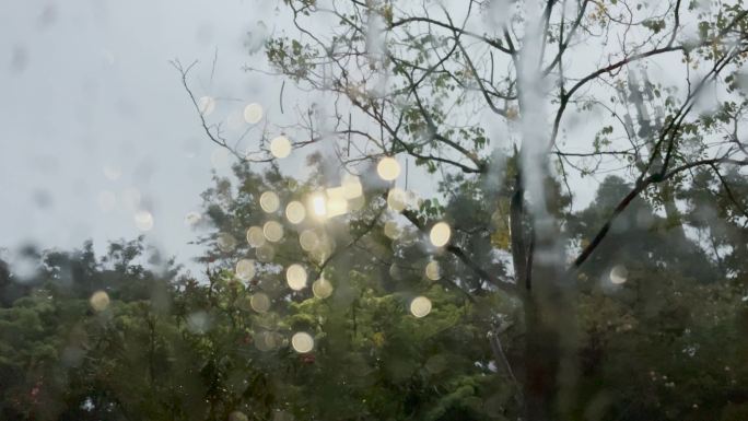 意境画面｜雨天离别是失恋分手的催化剂空镜