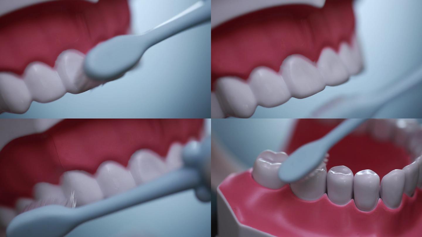 【镜头合集】牙齿模型演示刷牙方法