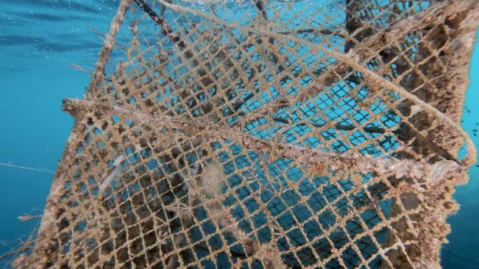 商业捕鱼业拖网渔船在海上丢失造成的海洋废弃物幽灵网污染
