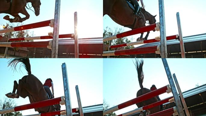 斯洛·莫（SLO MO）女马术运动员带领她的马跳过平行的公牛