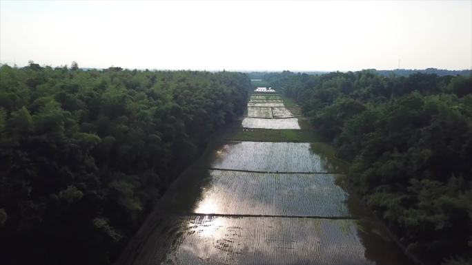 广德 圣渎 河流 道路风景航拍A004