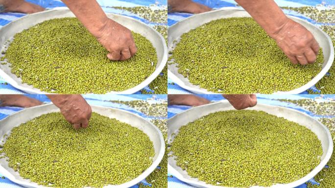 搅拌，然后选择一匙有机绿豆。