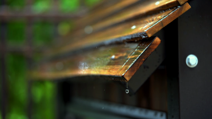 夏天小区下大雨4K唯美空镜