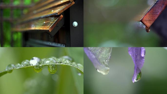 夏天小区下大雨4K唯美空镜