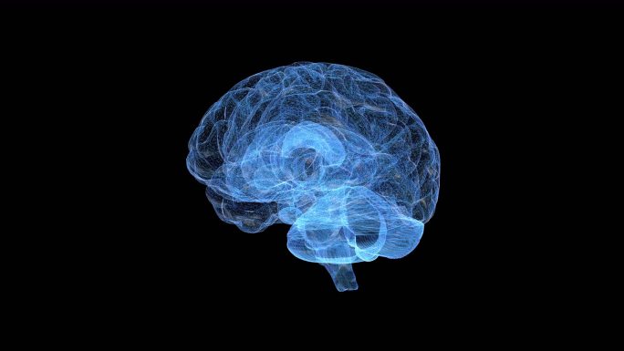 数据大脑信息 大脑  科技 人工智能