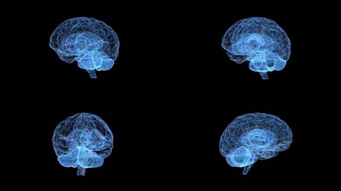 数据大脑信息 大脑  科技 人工智能