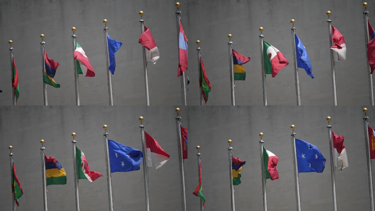 联合国国旗实拍飘动旗子